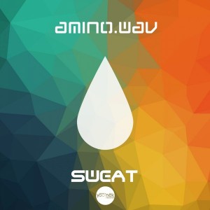 Amino.wav - Sweat [Yoo'nek Records]