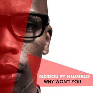 Mzidou feat. Hlumelo - Why Won't You [The Tzar Music]