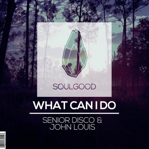 Senior Disco, John Louis - What Can I Do [Soulgood]