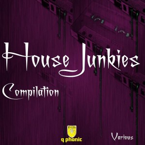 Various Artists - House Junkies [Q Phonic Records]