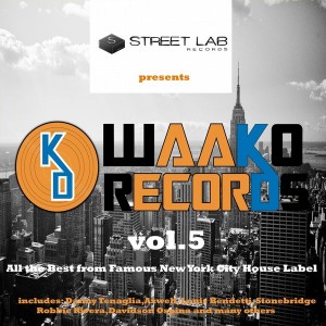 Various Artists - Streetlab presents The Best of Waako Records, Vol. 5 [Streetlab Records]