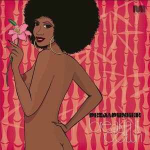 Petalpusher - Breakin' It Down EP [Naked Music]
