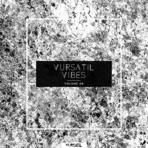 Various Artists - Vursatil Vibes 08 [Vursatil]