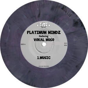 Platinum Mindz feat, Vokal Muso - Music [DNH]