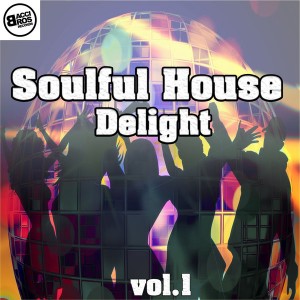 Various Artists - Soulful House Delight Vol.1 [Bacci Bros Records]