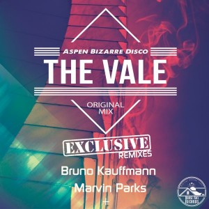 Aspen Bizarre Disco - The Vale [House Rox Records]