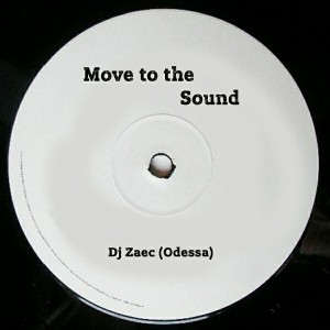 D.J.Zaec - Move To The Sound [Airbuzz Recordings]