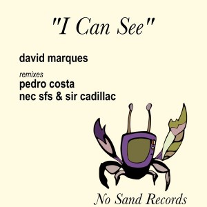 David Marques - I Can See [No Sand Records]
