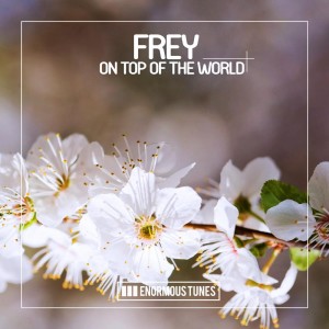 Frey - On Top of the World [Enormous Tunes]