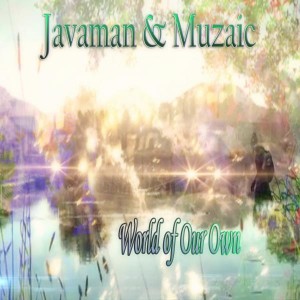 Javaman - World Of Our Own [Vizeeble Entertainment]