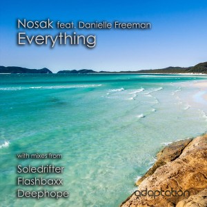 Nosak feat. Danielle Freeman - Everything [Adaptation Music]