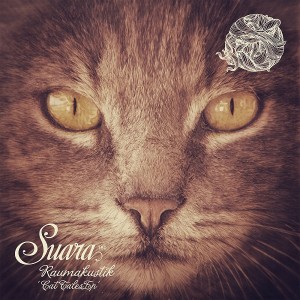 Raumakustik - Cat Tales EP [Suara]