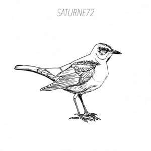 Saturne72 - Feathers [Pholcus Records]