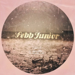 Sebb Junior - Rain EP [Frigo Vide Records]