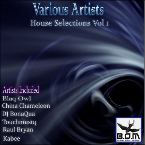 Various Artists - House Selections Vol 1 [Blaq Owl Music]