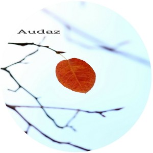 Alkalino - Leaf Of Faith [Audaz]
