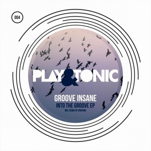 Groove Insane - Into The Groove EP [Play and Tonic]
