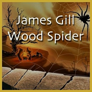 James Gill - Wood Spider [Drone Inc]