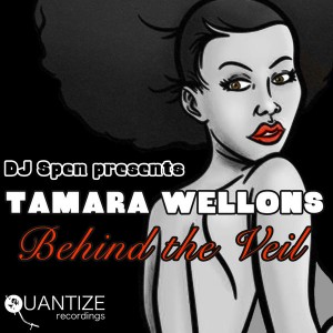 Tamara Wellons - Behind The Veil [Quantize Recordings]