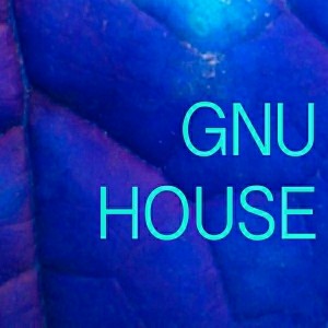 Warthog Dj - Gnu House [Animal House Music]