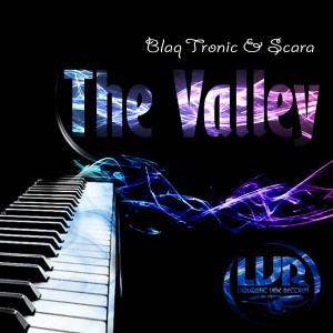 Blaq Tronic & Scara - The Valley [Liquidistic Vibe Records]