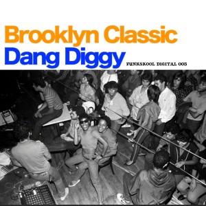 Brooklyn Classic - Dang Diggy [Funkskool Digital]