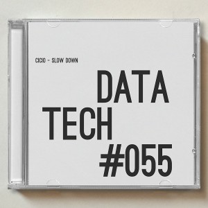 Cicio - Slow Down [DataTech]