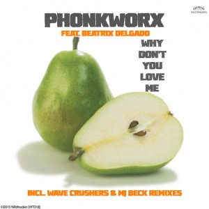 PhonkworX - Why Don't You Love Me (Incl. Wave Crushers & Mj Beck Remixes) - EP [Wildtrackin]