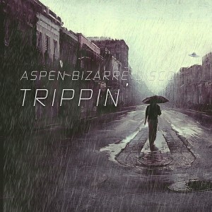 Aspen Bizarre Disco - Trippin' [House Rox Records]