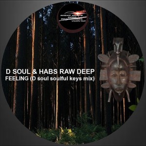 D Soul, Habs Raw Deep - Feeling [Night Scope Deep Exclusive Traxx]