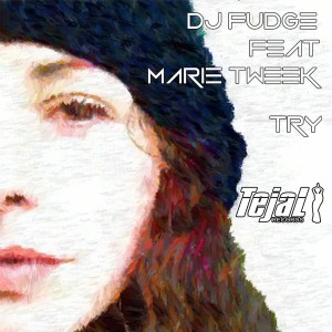 DJ Fudge feat.Marie Tweek - Try [Tejal]