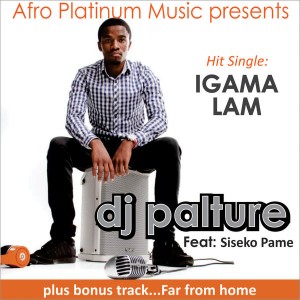 DJ Palture - Igama Lam [Afro Platinum Music]