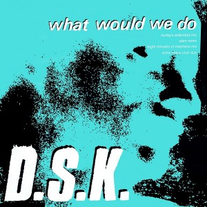 DSK - What Would We Do [Essential 12 Classics]