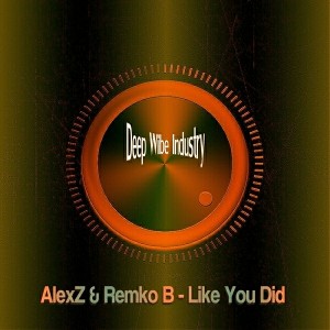 AlexZ & Remko B - Like You Did [Deep Wibe Industry]