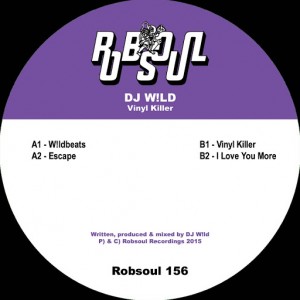 DJ W!LD - Vinyl Killer [Robsoul]