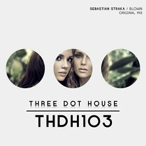 Sebastian Straka - Blowin [Three Dot House]