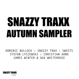 Various Artists - Snazzy Traxx Autumn Sampler [Snazzy Traxx]