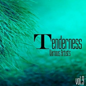 Various Artists - Tenderness, Vol. 9 [STMA Records]