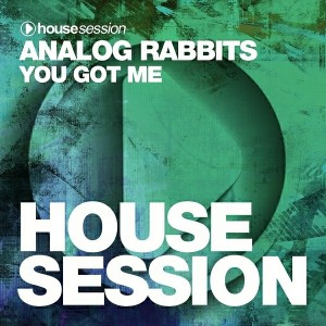 Analog Rabbits - You Got Me [Housesession Records]