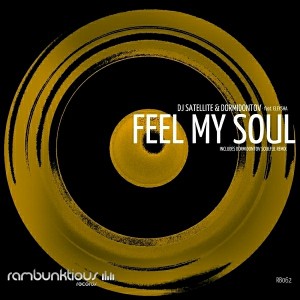 DJ Satellite & Dormidontov feat. Eleysha - Feel My Soul [RaMBunktious (Miami)]