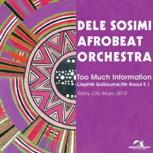 Dele Sosimi Afrobeat Orchestra - Too Much Information (Remixes) [Rainy City Music]