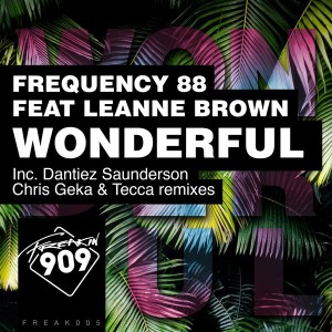 Frequency 88 feat. Leanne Brown - Wonderful [Freakin909]