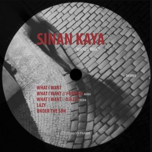 Sinan Kaya - What I Want [Deep Site Vinylized]