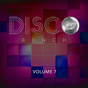 Various Artists - Disco Bunch, Vol. 7 [Select Case]