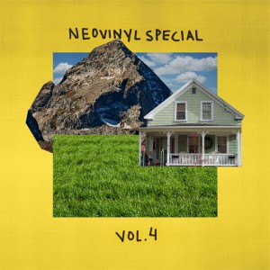 Various - Neovinyl Special Vol. 4 [Neovinyl Recordings]