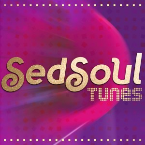 Various Artists - SedSoul Tunes [Sedsoul]