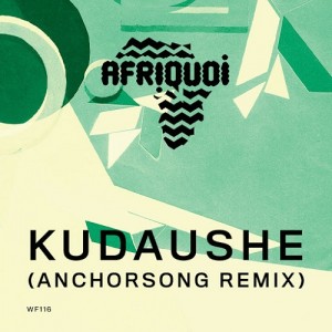 Afriquoi - Kudaushe (Remixes) [Wormfood]