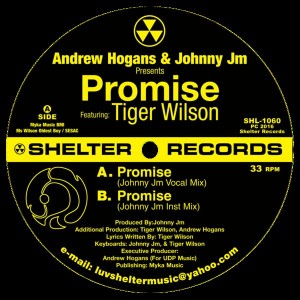Andrew Hogan & Johnny Jm feat. Tiger Wilson - Promise [Shelter Records]