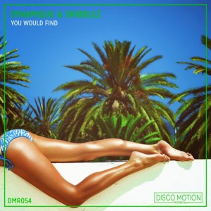 Dynamique & Skibblez - You Would Find [Disco Motion Records]
