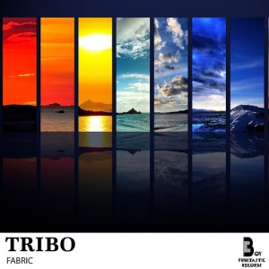Fabric - Tribo - Single [Boy Funktastic Records]